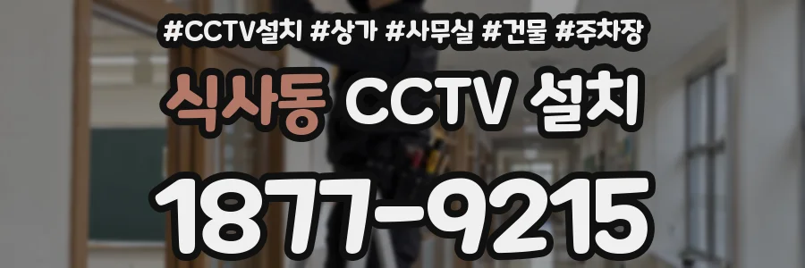 식사동 CCTV 설치