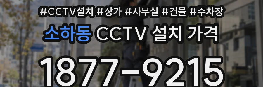 소하동 CCTV 설치 가격
