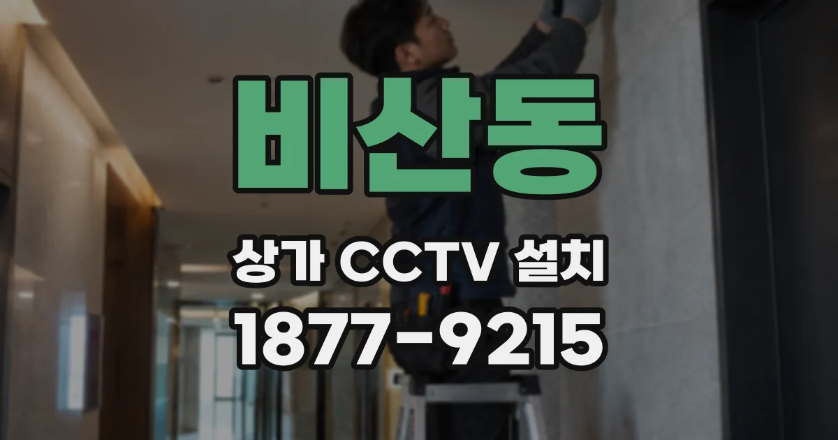 비산동 상가 CCTV 설치
