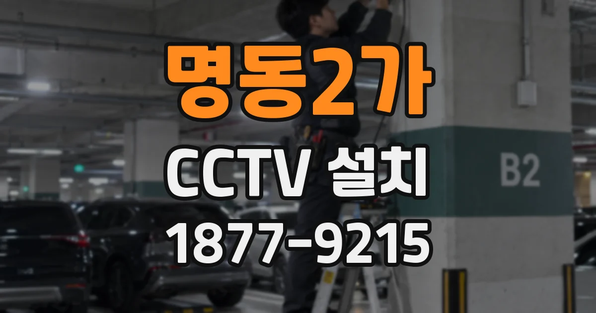 명동2가 CCTV 설치