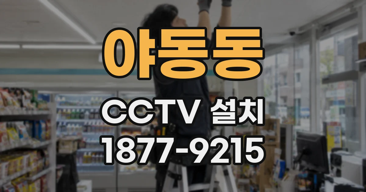 야동동 CCTV 설치
