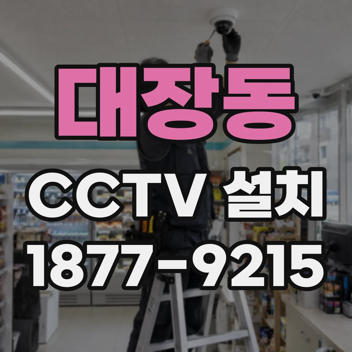 대장동 CCTV 설치