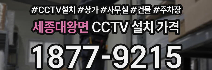 세종대왕면 CCTV 설치 가격
