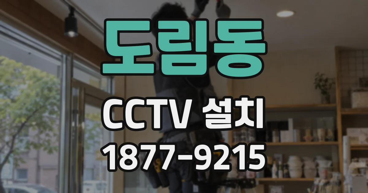도림동 CCTV 설치
