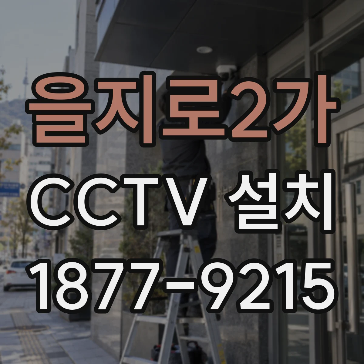 을지로2가 CCTV 설치