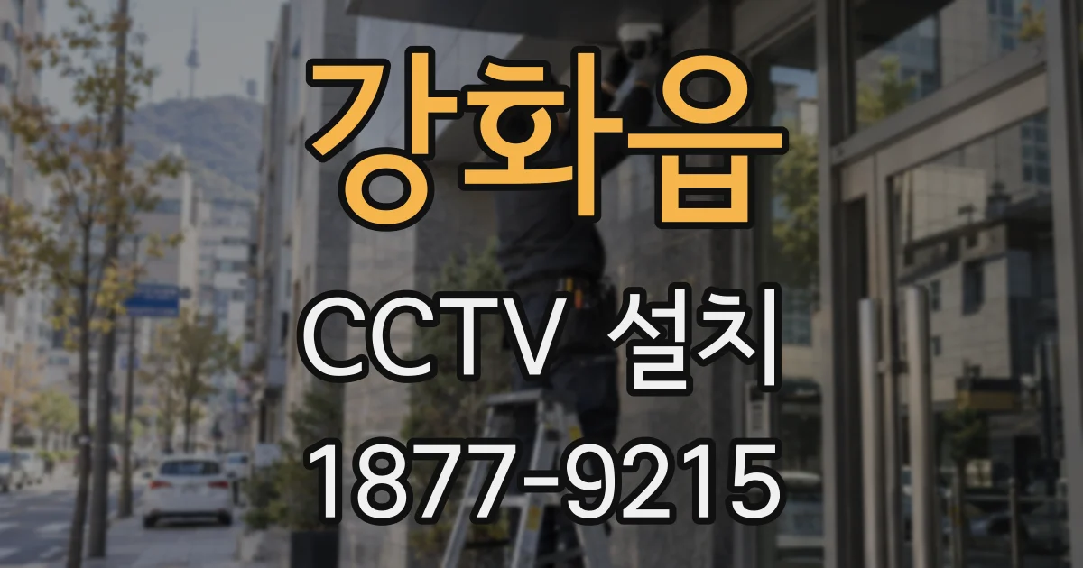 강화읍 CCTV 설치