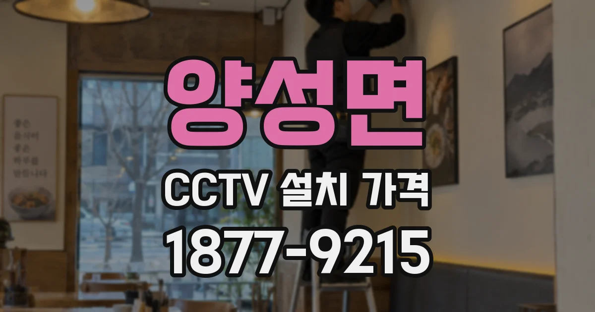 양성면 CCTV 설치 가격