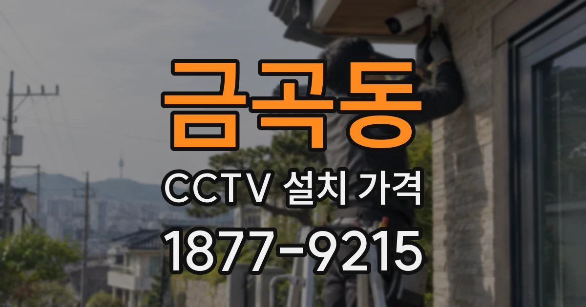 금곡동 CCTV 설치 가격