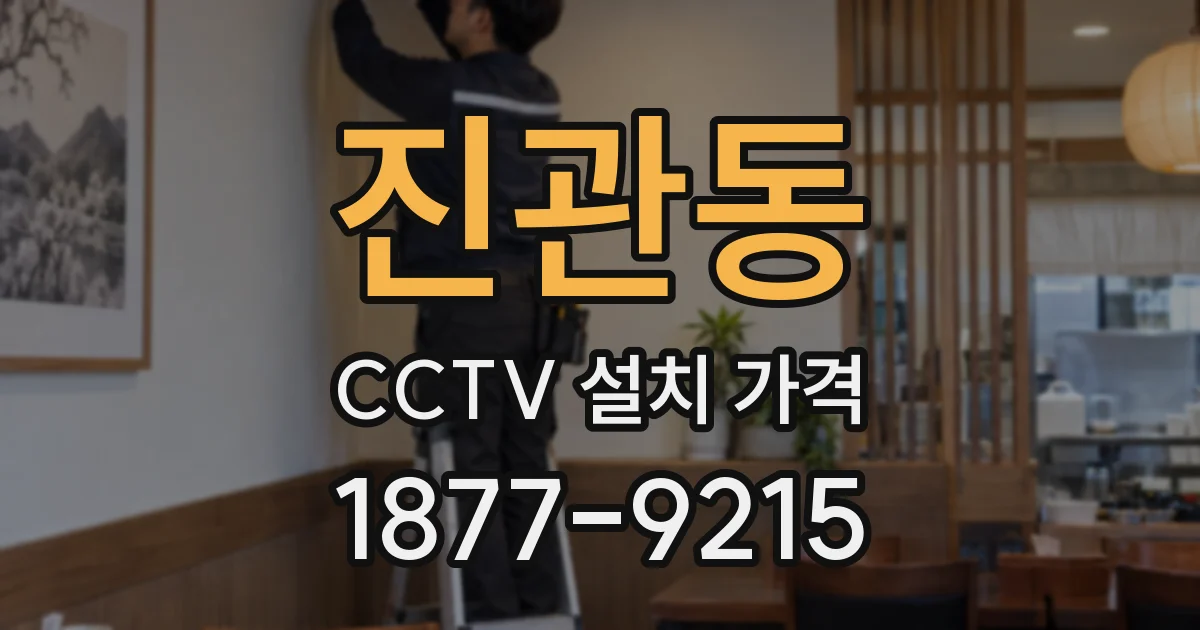진관동 CCTV 설치 가격
