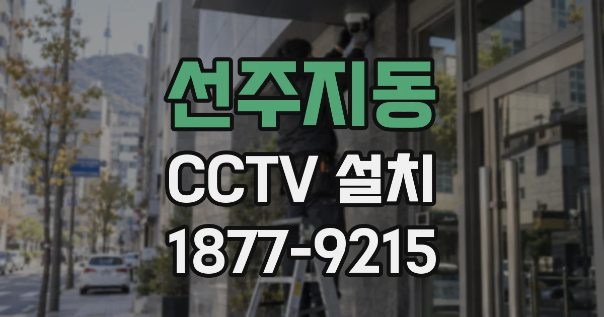 선주지동 CCTV 설치