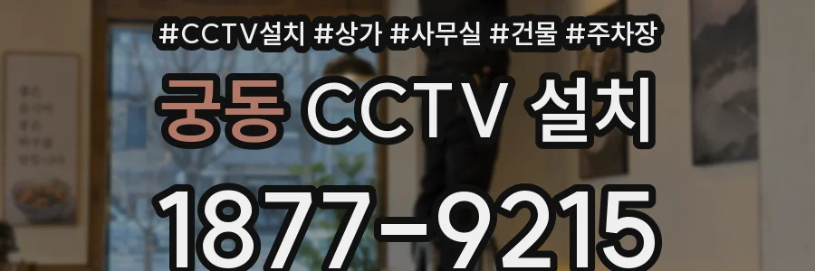 궁동 CCTV 설치