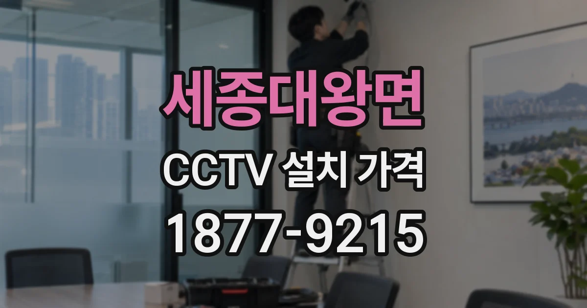 세종대왕면 CCTV 설치 가격