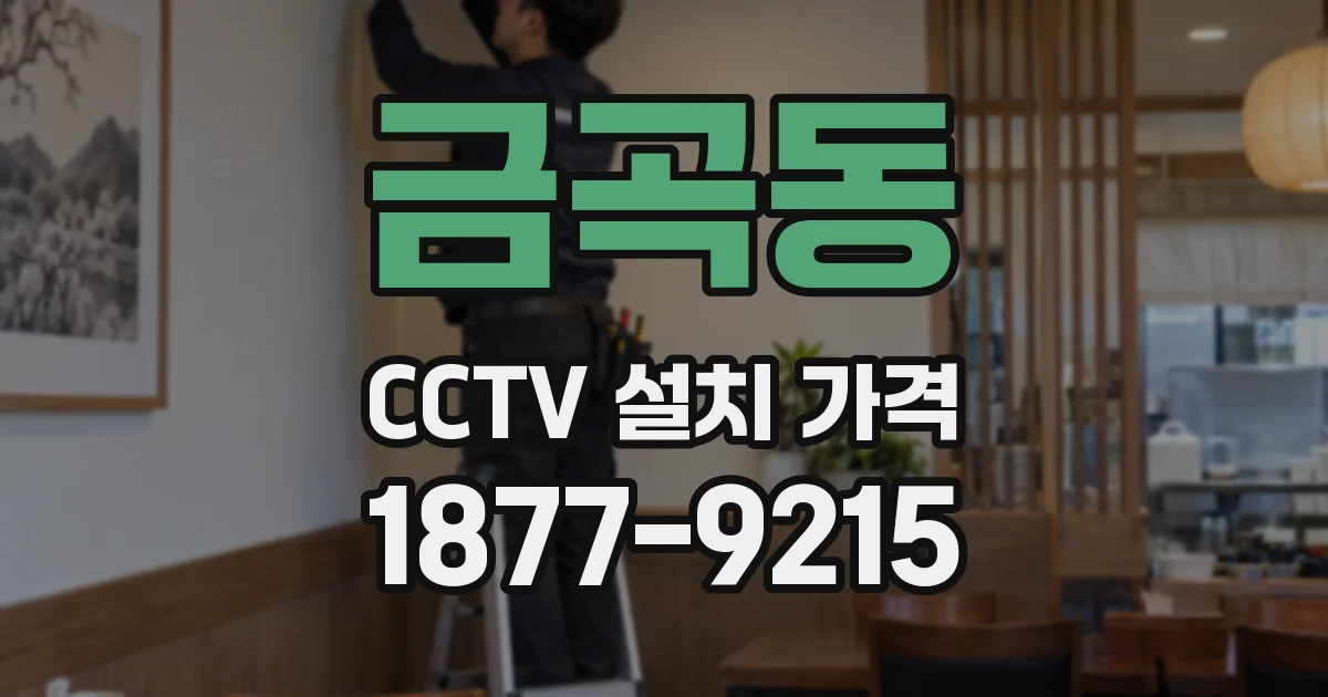 금곡동 CCTV 설치 가격