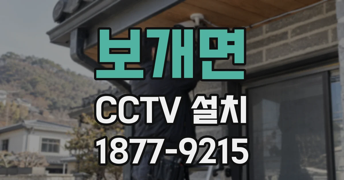 보개면 CCTV 설치