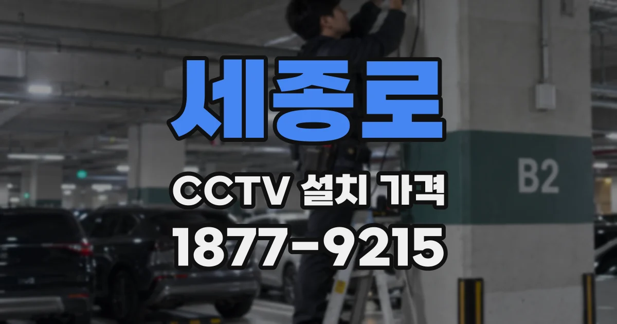 세종로 CCTV 설치 가격