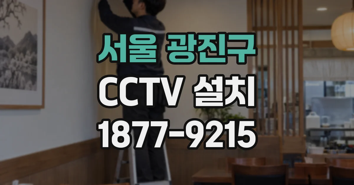 서울 광진구 CCTV 설치