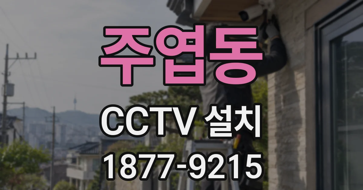 주엽동 CCTV 설치
