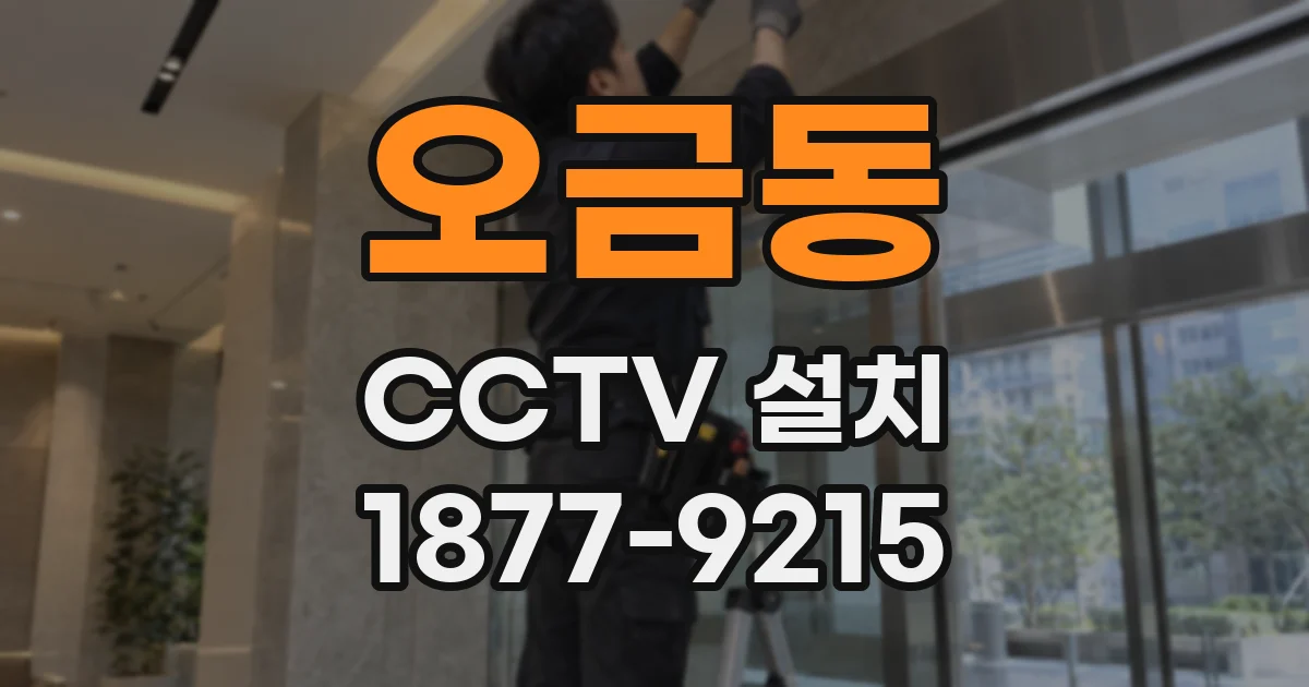오금동 CCTV 설치