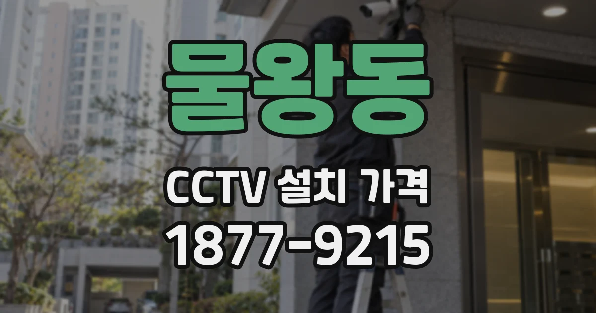 물왕동 CCTV 설치 가격