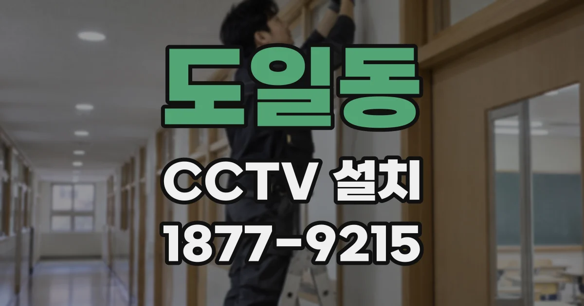 도일동 CCTV 설치