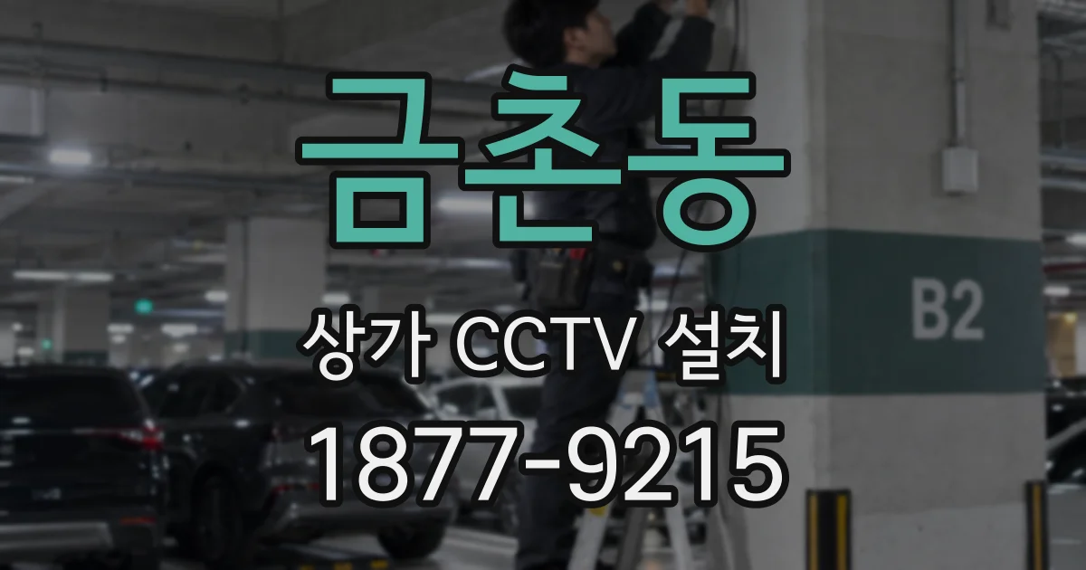금촌동 상가 CCTV 설치
