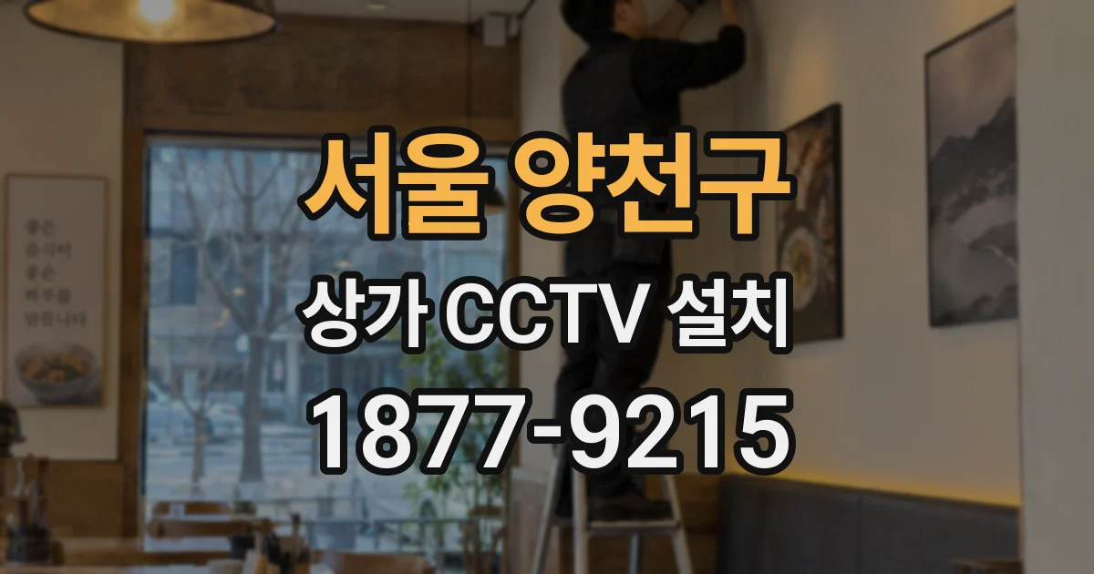 서울 양천구 상가 CCTV 설치