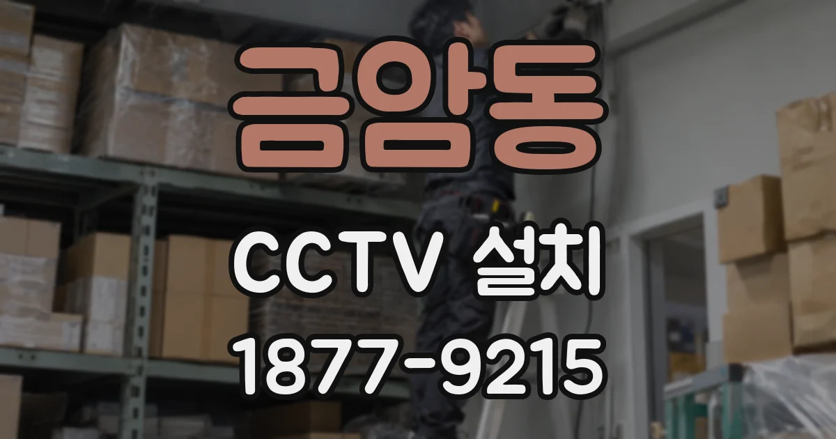 금암동 CCTV 설치