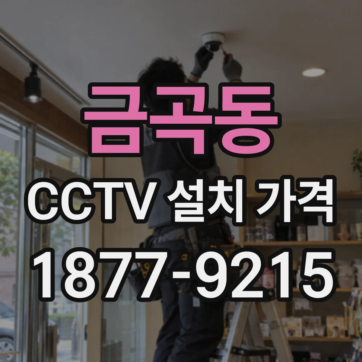금곡동 CCTV 설치 가격