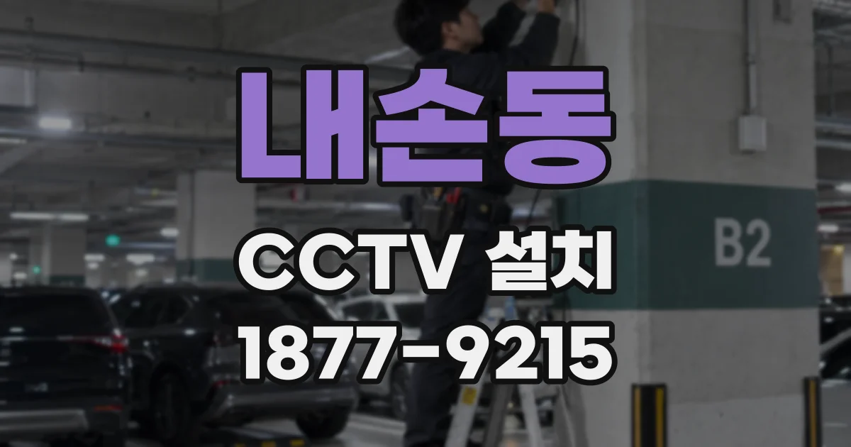 내손동 CCTV 설치
