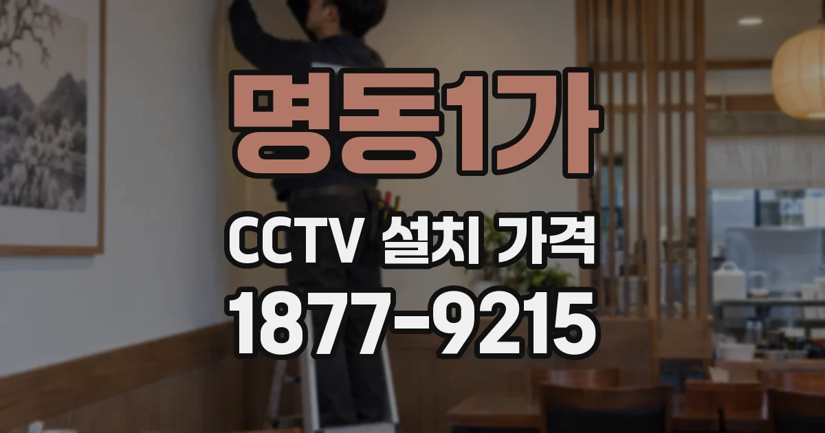 명동1가 CCTV 설치 가격