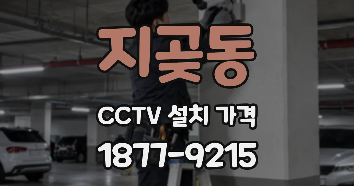 지곶동 CCTV 설치 가격