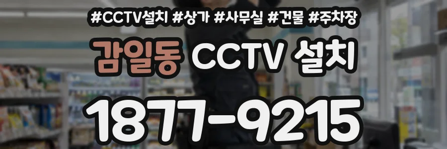 감일동 CCTV 설치