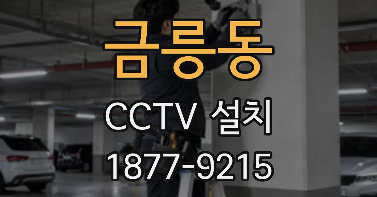 금릉동 CCTV 설치