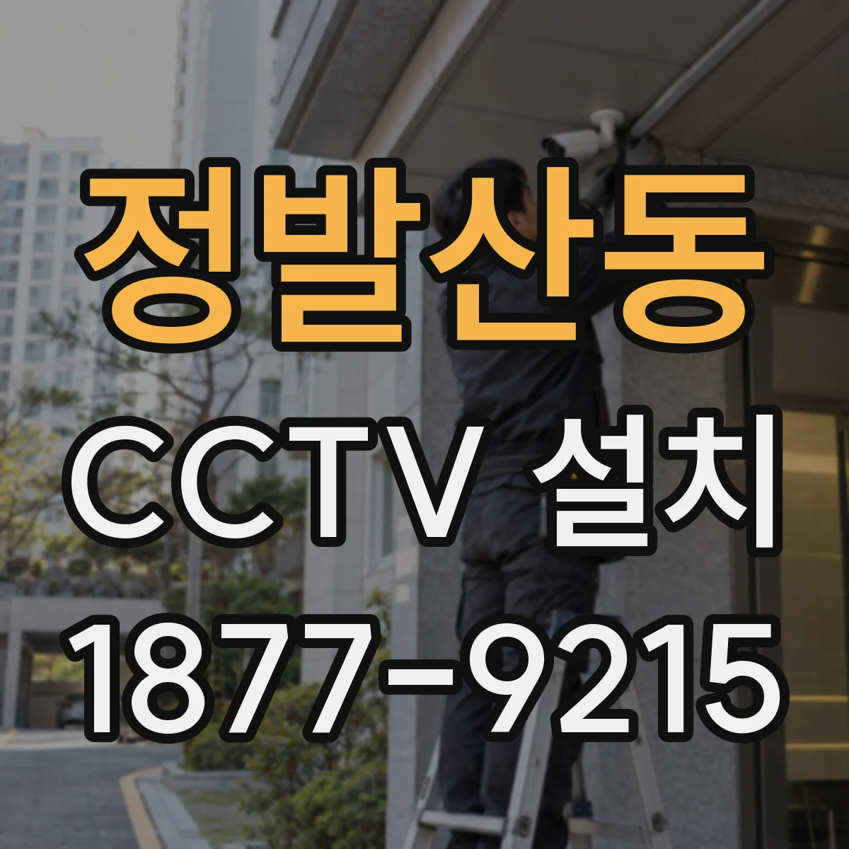 정발산동 CCTV 설치