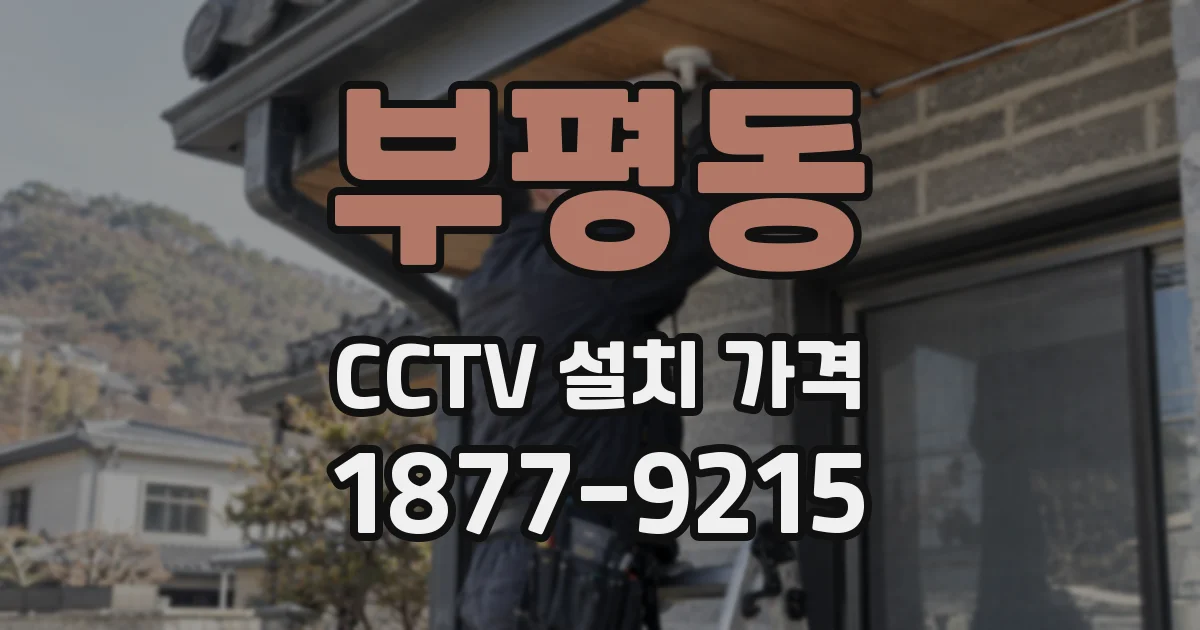 부평동 CCTV 설치 가격