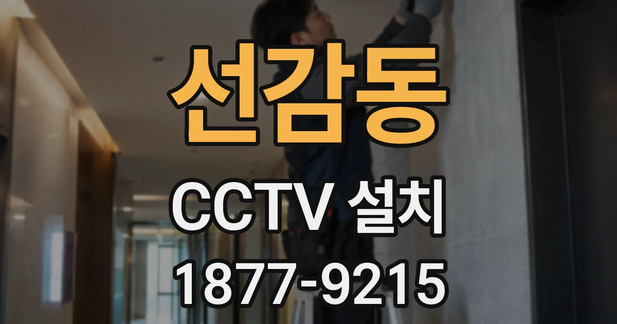 선감동 CCTV 설치
