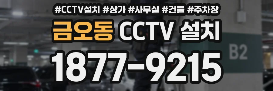 금오동 CCTV 설치