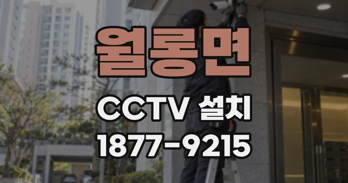 월롱면 CCTV 설치