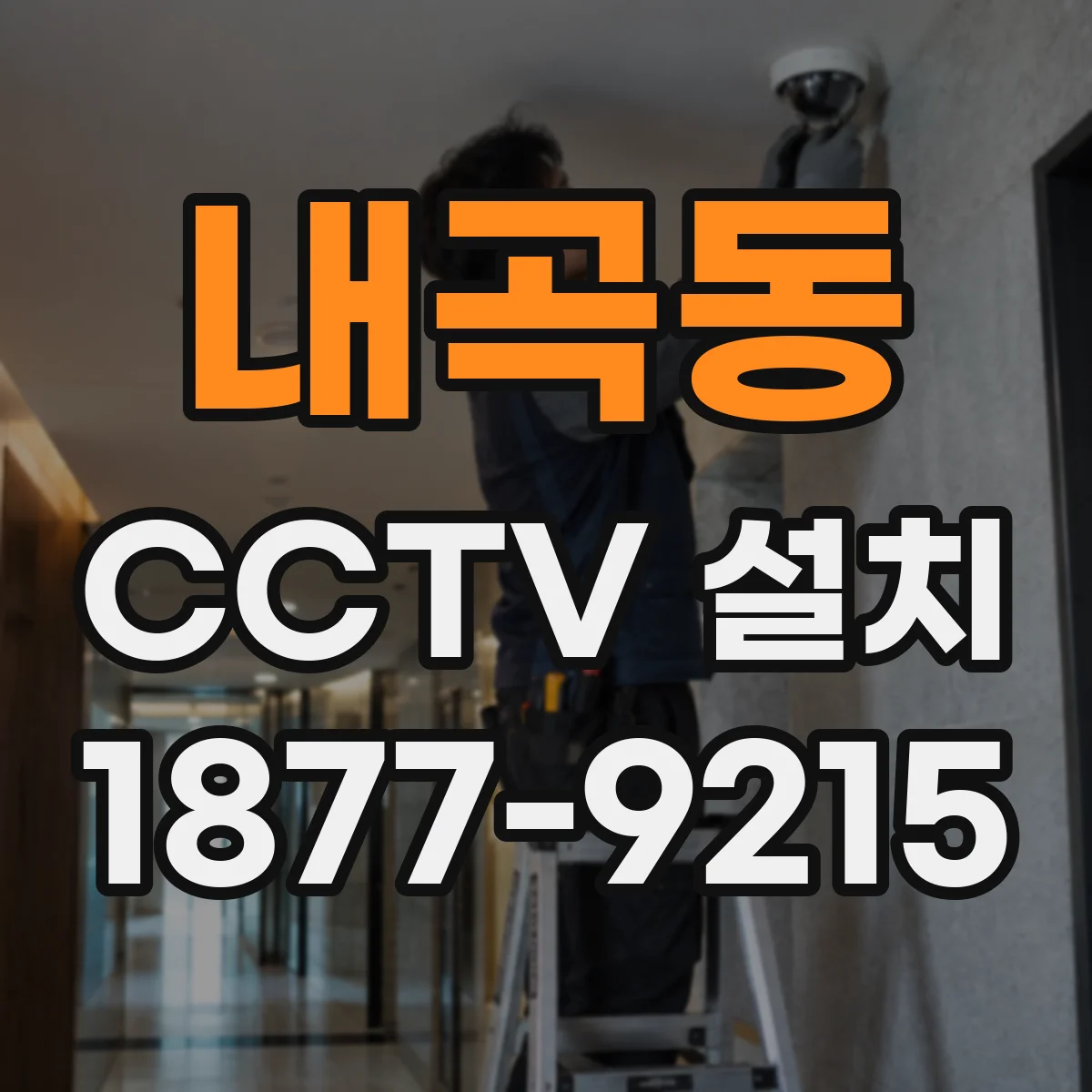 내곡동 CCTV 설치