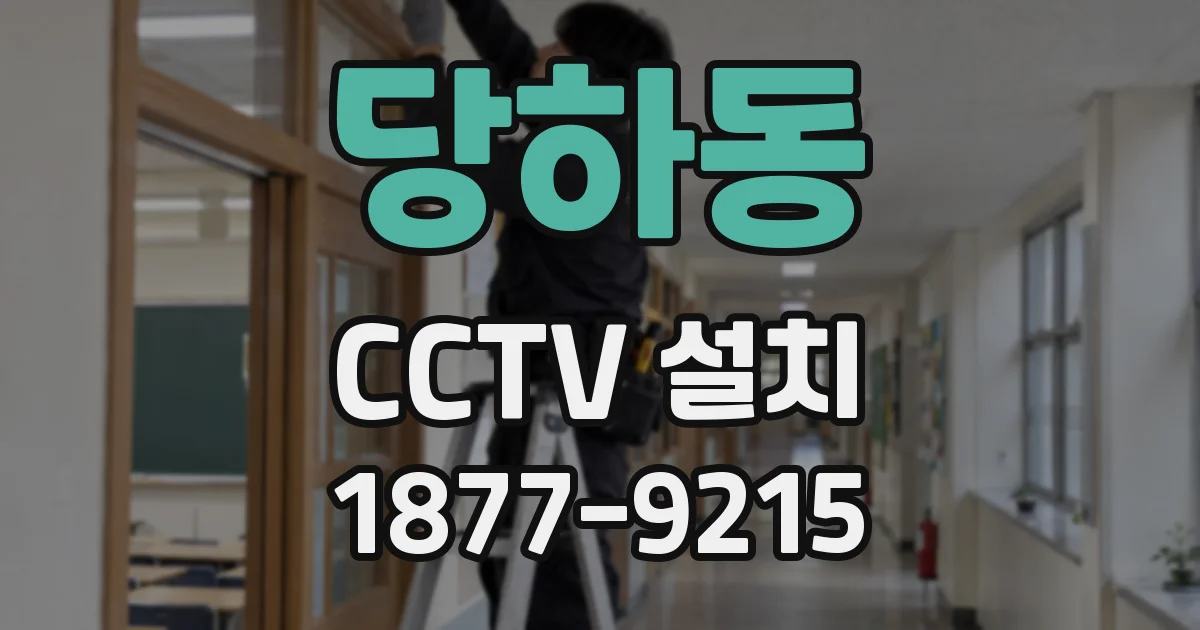 당하동 CCTV 설치