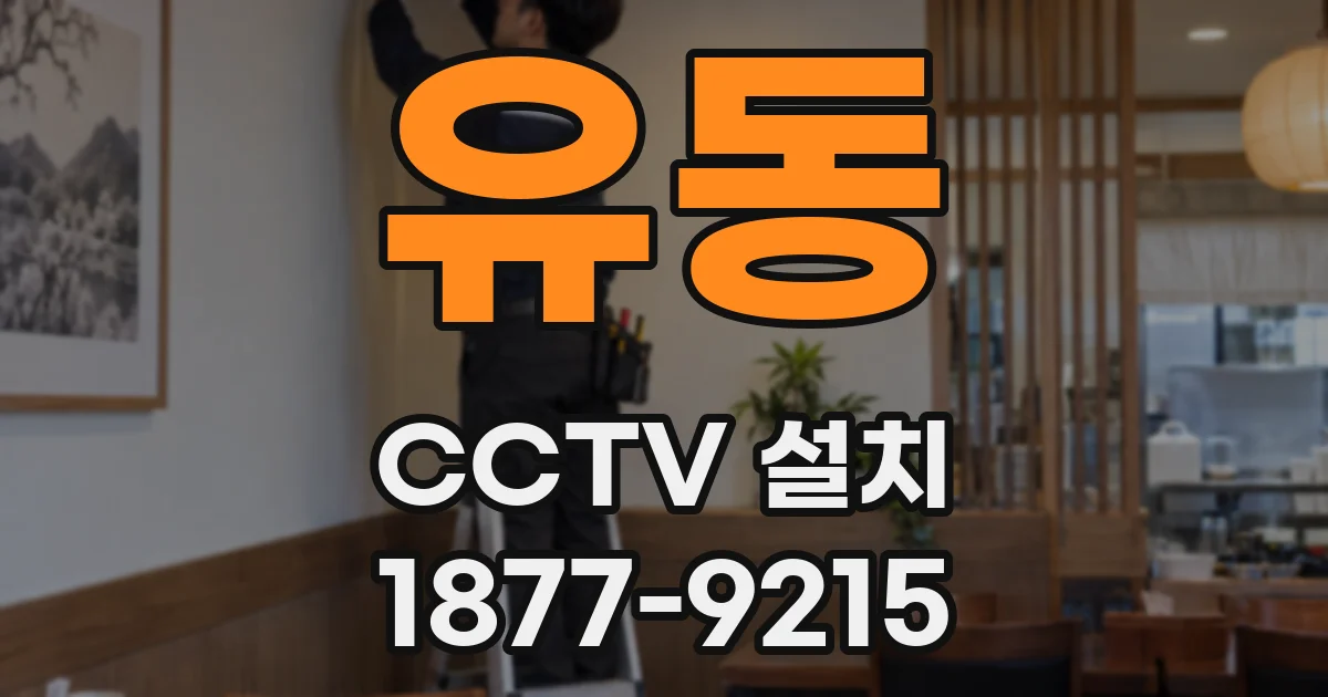 유동 CCTV 설치