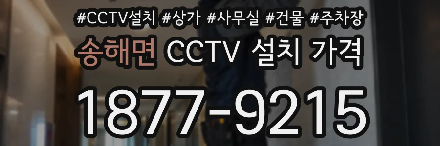 송해면 CCTV 설치 가격