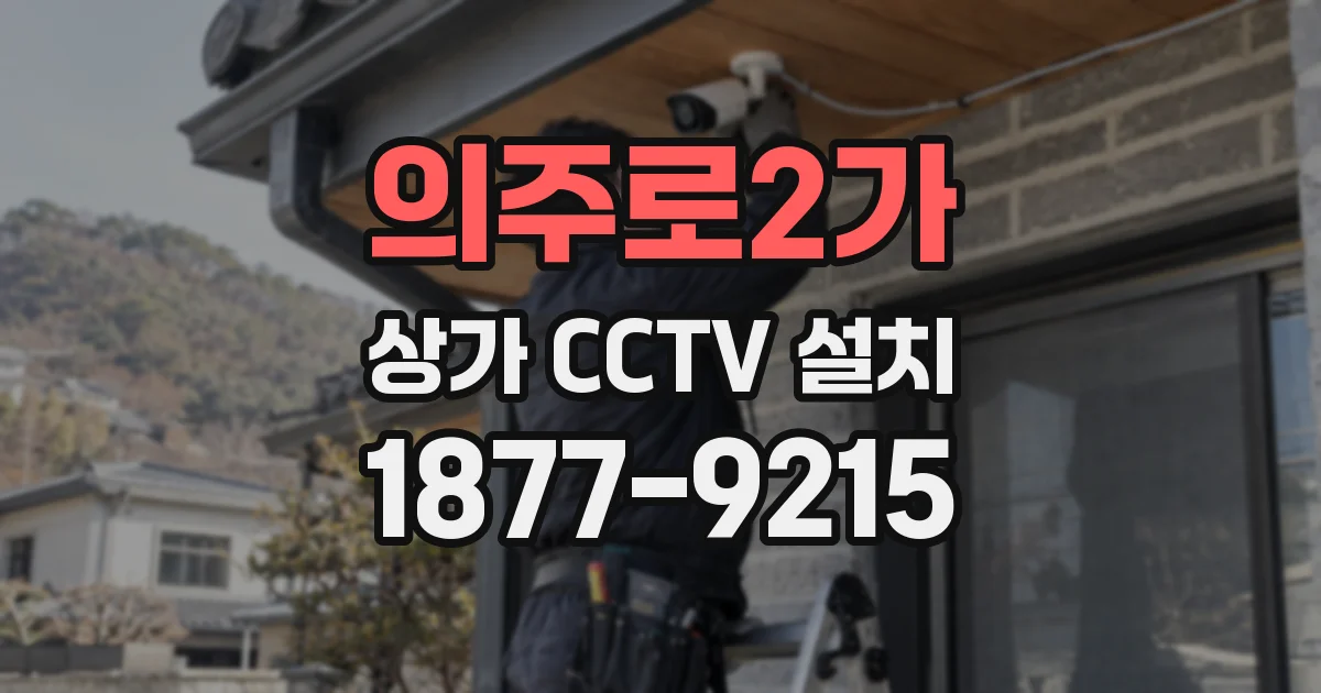 의주로2가 상가 CCTV 설치