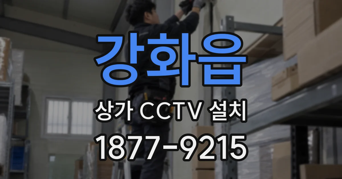 강화읍 상가 CCTV 설치