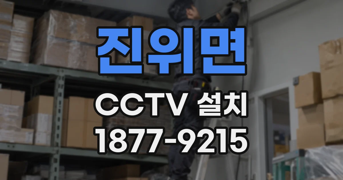 진위면 CCTV 설치