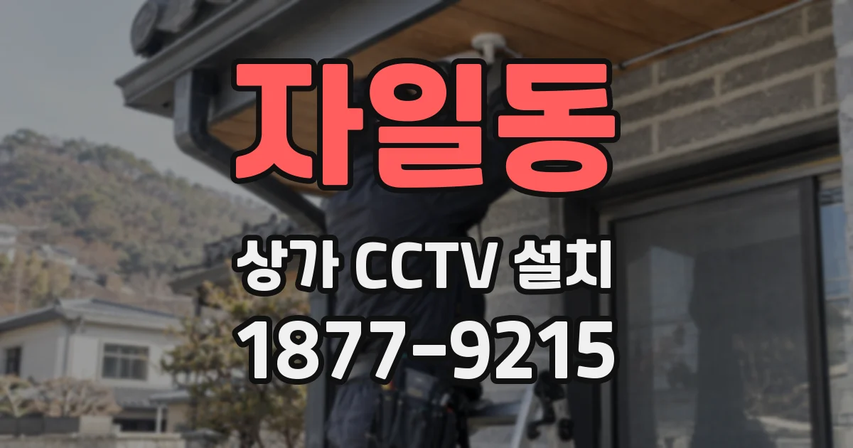 자일동 상가 CCTV 설치