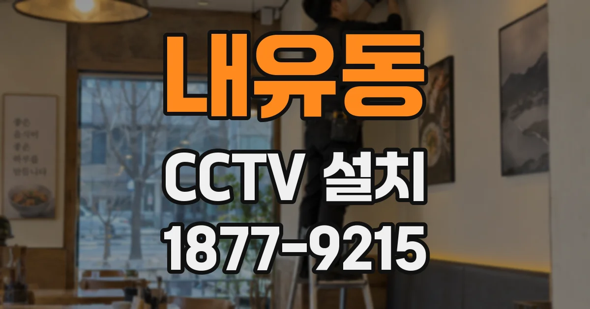 내유동 CCTV 설치