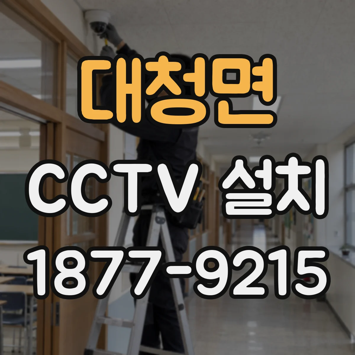 대청면 CCTV 설치