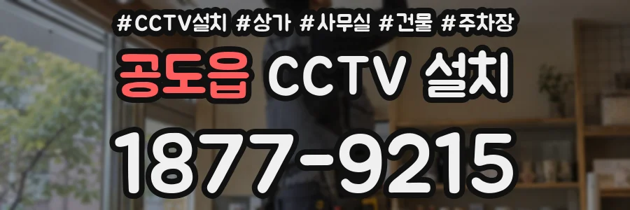 공도읍 CCTV 설치