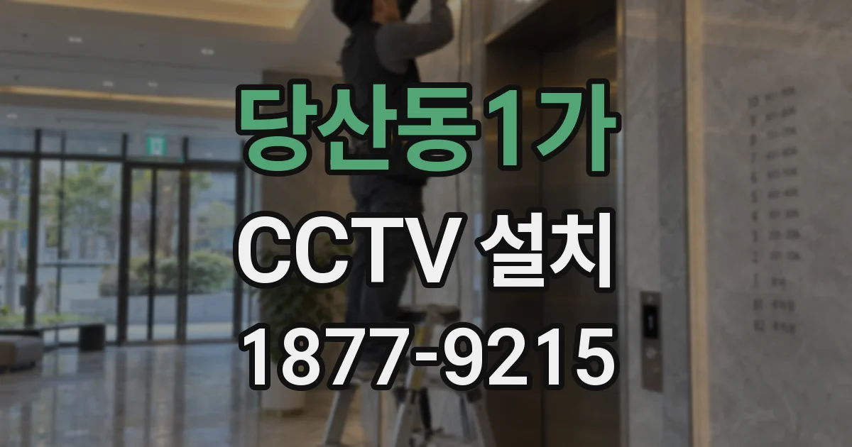 당산동1가 CCTV 설치